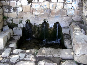 fuente sagrada